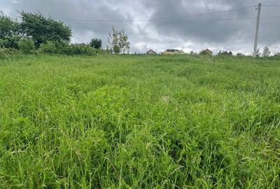 Oportunitate unica – Teren intravilan de vanzare – 500 mp, Loc. Sura Mare-Sibiu - 3