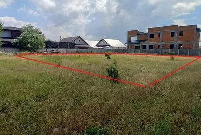 Teren Domnesti Ciutaci - Foisorului Ilfov - 750mp - 4