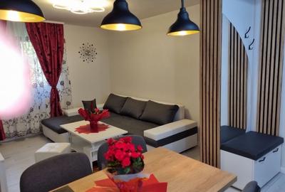 Apartament cu 2 camere semidecomandat în Mănăștur - 1