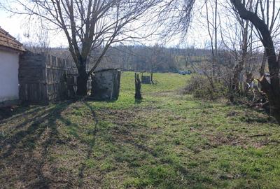 Casă individuală cu 2 camere cu Teren 1681 Mp în Stanciova - 3