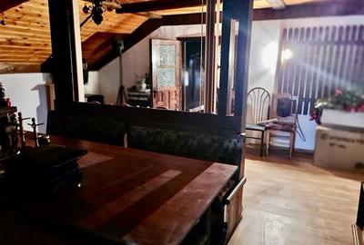 Casă cu 4 camere cu Teren 4500 Mp în Schitu Duca - 9