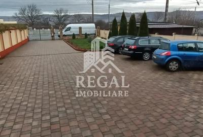 Casă cu 4 camere cu Teren 3700 Mp în Peștișu Mare - 2