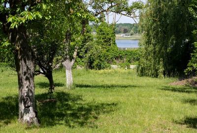 VANZARE DOMENIU CU DESCHIDERE  LA LACUL SNAGOV - 1
