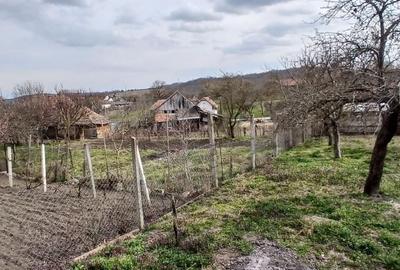Casă cu 3 camere în Bădeni - 9