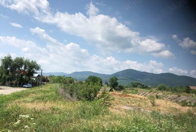 Teren de 5470 mp, în Ciritei - 3