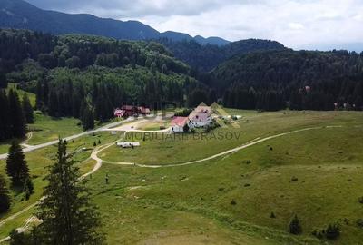 Teren Construcții intravilan de 5000 mp, în Brașovul Vechi - 3