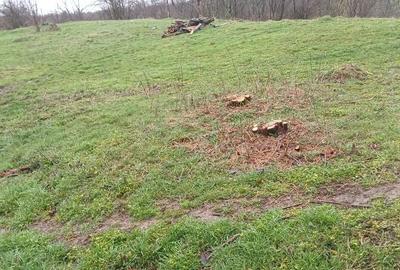 Spațiu comercial, în Valea Unghiului - 2