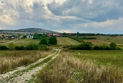 RECO teren de vanzare in zona Betfia - 5