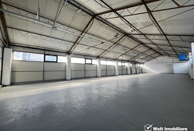 Depozit 484mp, zona industriala Someseni Aeroport - 2