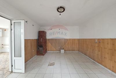 De vanzare proprietate unicat in Sascut - Bacau - 20