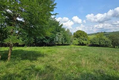 Teren, Albe?ti, str Podului - 11