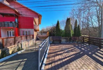 Casă cu 5 camere cu Teren 10000 Mp în Bumbești-Pițic - 15