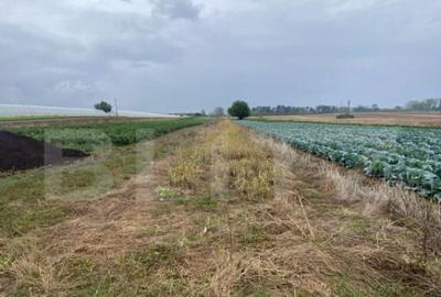 Teren de vanzare, 4700 mp, Strada Brazilor - 2