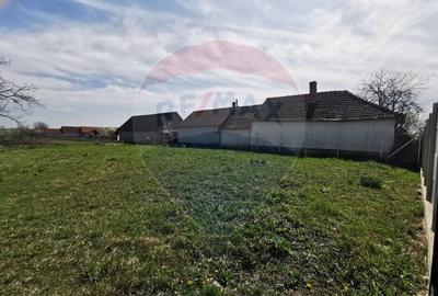 Teren Construcții intravilan de 3775 mp, în Cefa - 7