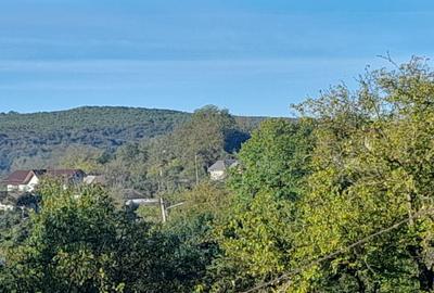 Casă cu 3 camere în Crivățu - 8