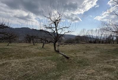Teren în Micloșanii Mici - 4