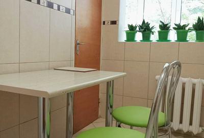 Apartament cu 2 camere decomandat în Gorjului - 5