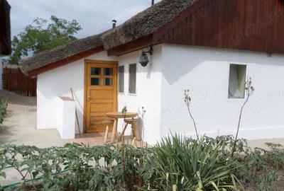 Delta Dunarii, Romania, localitatea LETEA, proprietate de VIS, - 6