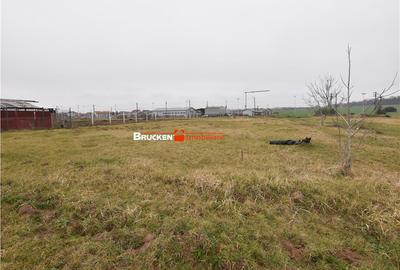 Teren de 600 mp, în Central - 2