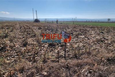 Teren intravilan 4000 mp pe soseaua de centura - 2