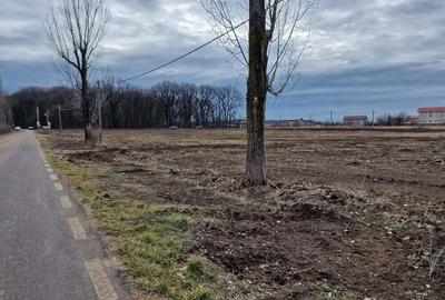 Teren de 12800 mp, în Ciolpani - 3