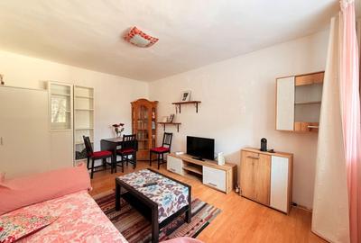 Apartament cu 2 camere semidecomandat, mobilat în Drumul Taberei - 10