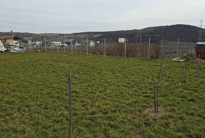 Spațiu comercial, în Ludoș