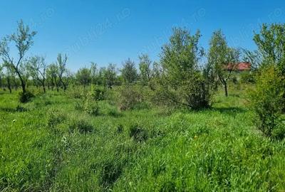 Teren în Glâmbocu - 12