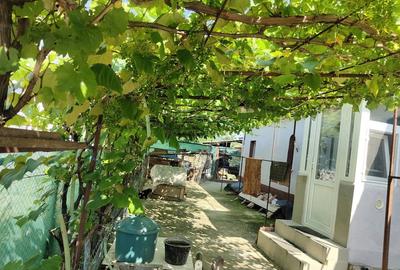 Casă cu 3 camere în Central - 8