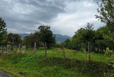 Spațiu comercial, în Hoteni - 1