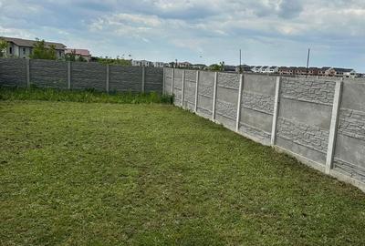 Casă cu 3 camere cu Teren 260 Mp în Timișoara