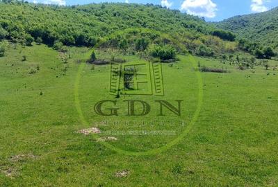 Teren extravilan 3408 mp in Gura Raului - 3