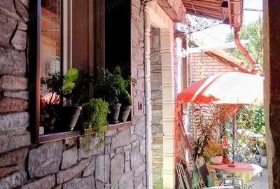 Casă cu 2 camere în Timocului-Șaguna - 1