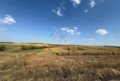 Teren de 2877 mp, în Cordău - 3