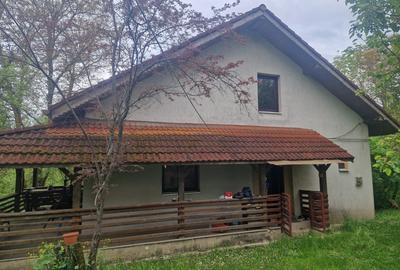 Casă cu 4 camere cu Teren 6000 Mp în Bezdead - 1