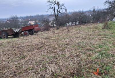 Spațiu comercial, în Cicârlău - 6