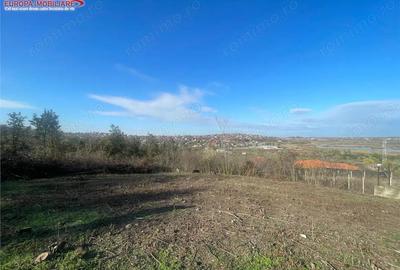 Teren de vanzare zona Bididia Tulcea - 6