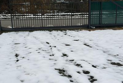 Spațiu comercial, în Orlat - 5