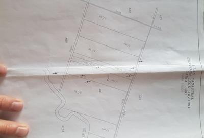 Teren agricol extravilan de 41100 mp, în Torontalului - 2