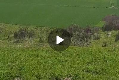 Teren de 900000 mp, în Pescari - 2