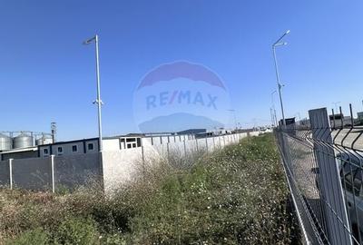 Vanzare Teren Industrial - Stefanestii de Jos (22.800 mp) - 3