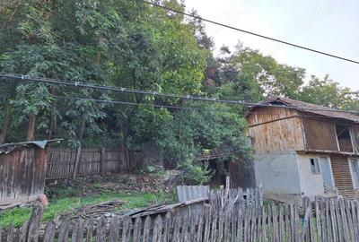 Vinzare proprietate in Catina jud.Buzau - 3