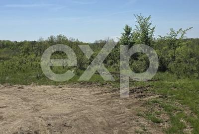 Teren Construcții intravilan de 3015 mp, în Moșoaia - 4