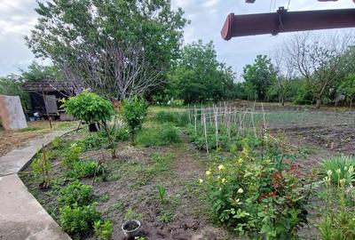 Vand casa la ?ara, Rasmire?ti Teleorman 46000e - 9