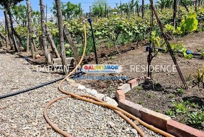 Teren in Poienari Apostoli, 21 E/mp, Avantajos, DN1, 34.500 euro - 9