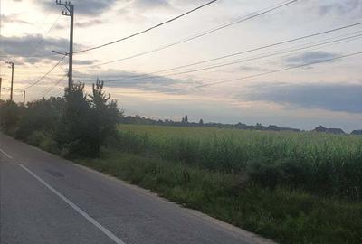 Teren de 1300 mp, în Periș