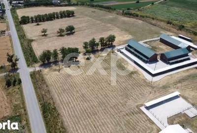 Teren de 105000 mp, în Singureni - 9