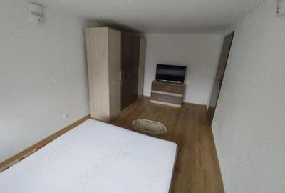 Apartament cu o camera zona Lunei - 2