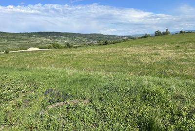 Teren Valea Chintaului / Cluj 5.547mp  parcelabil - 3