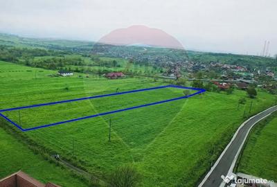 Teren de 6956 mp, în Brăișoru - 1